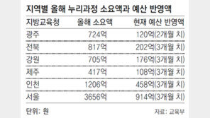 “누리과정 예산 바닥난 교육청 6곳… 지방채 발행 조건부 3월부터 지원”