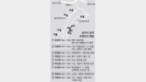 [단독]망우리 묘지공원 세계문화유산 등재 추진