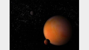 음식 재료로 만든 우주사진, 빛나는 별 알고보니 정체가 소금