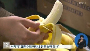 기준치 최고 99배 초과한 농약 바나나 유통? “1089t 회수 못해”