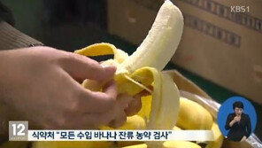 식약처, ‘농약 바나나’ 유통 방치… 농약 기준치 99배 초과, 1089t 회수 못했다