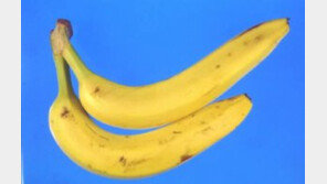 농약 바나나, 2400톤 中 1089톤 회수 안돼…농약 바나나 구별법은? ‘발동동’ 
