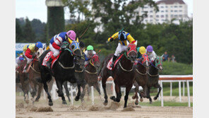 국산마의 질주…산지통합경주 우려 지웠다