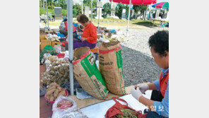 [대전/충남]철도-고속道 건설로… 충남은 지금 ‘路線전쟁’중