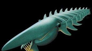 5억 년 전 바다 생명체 복원… 고생물학자 “완전히 펼치면 약 1.6m 새우”