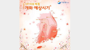서울 벚꽃 개화 시기 4월 9일…진해 군항제는 4월1일부터 10일간 열려