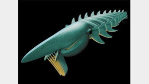 5억 년 전 바다 생명체 복원, 크기가 무려 2m…초대형 랍스타?