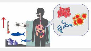 봄맞이 몸 속 독소 배출법, 하루 10분씩 햇볕 봐야…세로토닌 분비 ‘쑥↑’