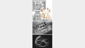 [책의 향기]앗, 외계인? 아니 상상도 못할 신기한 동물들!