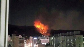 서울 불암산 화재, 임야 1만 5000㎡가 소실… 축구장 3배