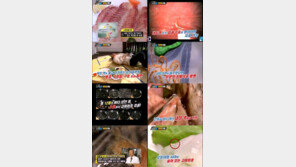 ‘위기탈출 넘버원’, 고래회충 집중 조명… 원인에서 해결까지