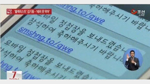 금감원 사칭 스미싱 주의보, 본인 인증 절대 금물