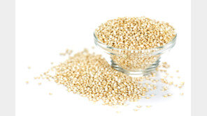 렌틸콩 수입 33배 증가…‘슈퍼곡물 전성시대’