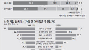 “수도권-서비스 규제 풀어 기업 투자 숨통 틔워줘야” 