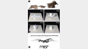 4D 프린팅, 설계 도면 대로 조립...암 치료까지 활용 폭 확대