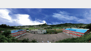 [CEO&]배관만 바뀌어도 수돗물이 ‘생명의 물’로 부활한다