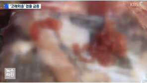 ‘고래회충’ 발견 사례 급증, “생선 익혀먹고 내장 부위 피해야” 각별한 주의 요구