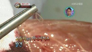 위벽 뚫는 ‘고래회충’, “복통·구토·위경련 유발”…회 먹을 때 주의