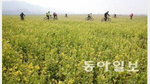 완연한 봄날씨, 누리꾼 "벌써부터 설레임에…"