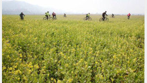 완연한 봄날씨 "서울 낮기온 급격히 오른다"