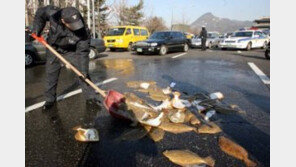 ‘고래회충’ 발견 사례 급증…고래→인간 감염? “구충제 치료 NO!” 치료법은? 