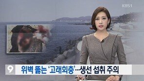 ‘고래회충’ 발견 급증, “감염시 위나 장 뚫어”… ‘비상’
