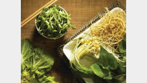 봄나물 식중독 위험, 나물 자연 독성 생각보다 더 위험