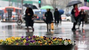 18일 봄비, 언제까지 내리려나…남해안-제주 최고 80㎜ 강수량