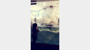 '힐링캠프' 출연 하하, 아들 드림이 모습 공개…“감사한 아이랍니다”