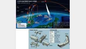 ‘사드’ 한반도 배치, 정부 “우리 국방정책에 영향력 행사 안 된다”
