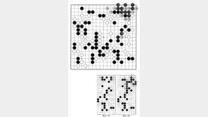 [바둑]제58기 국수전… 승기 놓친 수 114