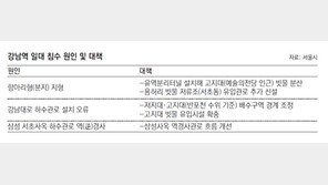 [수도권]‘물바다 강남역’ 배수시설 뜯어고친다