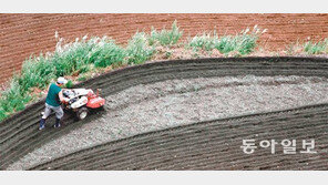 [Money&Life]여러 번 거래됐던 땅은 불법 전용된 적 있는지 꼭 확인해야