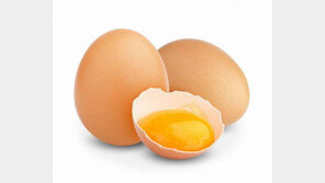 달걀 껍질 활용법, 화초 해충 방지-각질제거-식기 세척 등…주의할 점은?