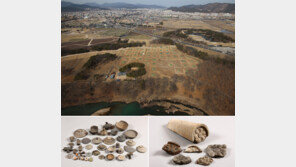 속살 드러낸 ‘천년 왕성’…경주 월성서 신라유물 대거 발굴