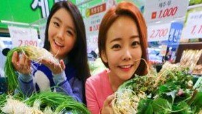 춘곤증에 좋은 봄나물, 비타민 풍부해 원기 회복·신신대사 촉진…주의할 점은?