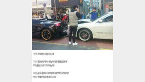 람보르기니 보험사기…미리 예감한 누리꾼 글에 '깜짝'