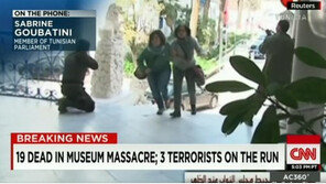 튀니지 박물관 테러 배후는 IS?… IS 관련 SNS, 튀니지 테러 찬사 ‘충격’