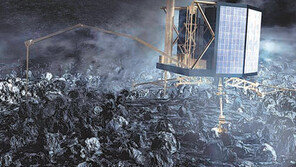 필레야, 겨울잠에서 깨어나렴!