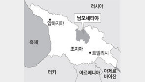 러, 크림반도 이어 남오세티야도 병합 나서