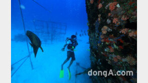 반얀트리, 베트남·몰디브 가족여행 패키지 출시