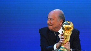 2022년 카타르월드컵 겨울 개최 확정