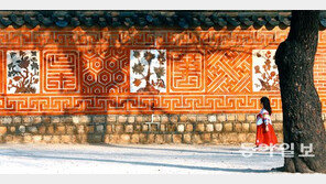 [Feeling]경복궁에, 창덕궁에 꽃담 따라 봄이 살짝 찾아왔네요