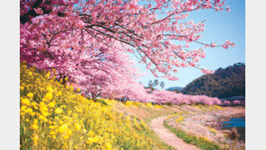 [여행, 나를 찾아서]완연한 봄, 떠나요∼ 걷고 쉬고 온천하는 일본여행