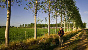 레드캡투어, 나를 돌아보는 성찰의 시간, 산티아고 순례길 
