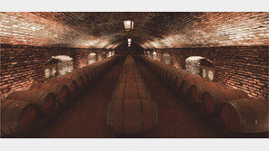 아영FBC, 세계인이 가장 좋아하는 최상의 빈티지 ‘2013 디아블로’ 