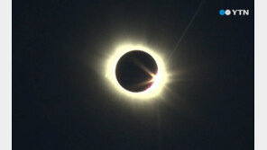 개기일식에 슈퍼문까지…새들이 지저귀지 않는 이상현상