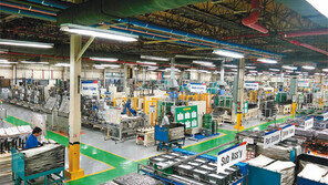 [대구/경북][부산/경남]창사 34년만에 매출 1조… 글로벌 초일류기업 도전