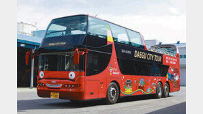 [대구/경북]천장개방형 2층 관광버스 대구시 31일부터 운행