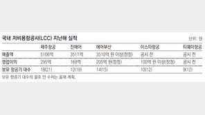 아시아나 ‘제2 저비용항공’ 날수 있을까 